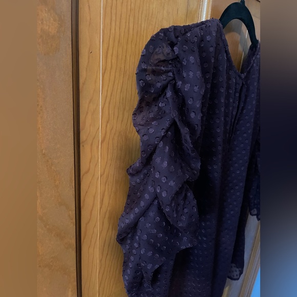 Express Women’s Dark Purple Sheer Swiss Dot Short sleeve blouse Size Large. - Picture 2 of 5